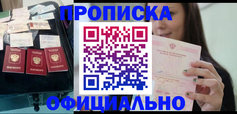 прописка законно в Завитинске